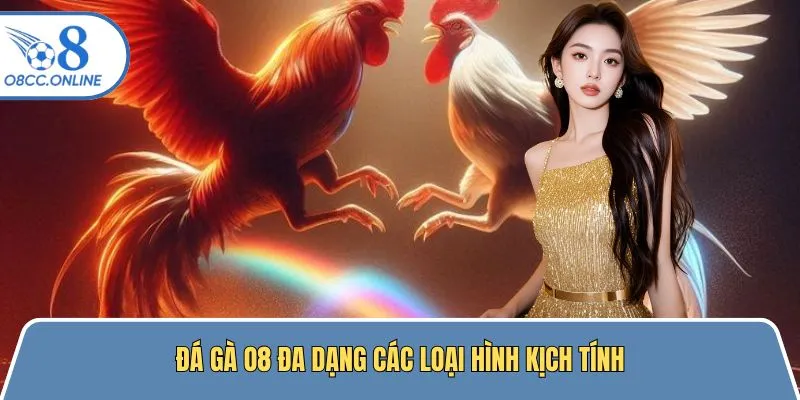 Đá gà O8 đa dạng các loại hình kịch tính đến nghẹt thở