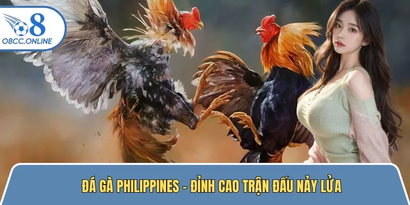 Đá Gà Philippines - Đỉnh Cao Trận Đấu Nảy Lửa Một Không Hai